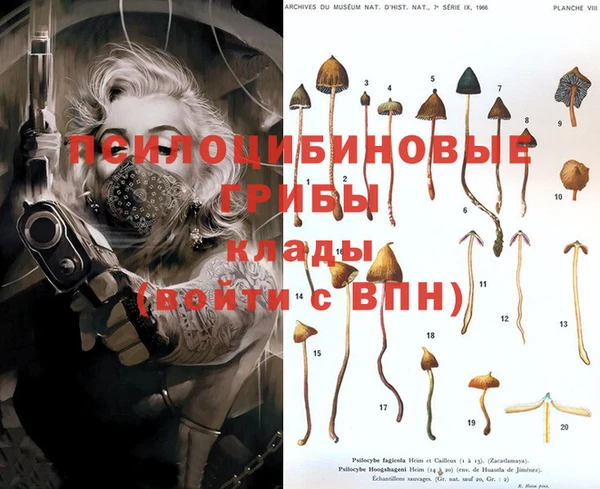 шишки Алексеевка