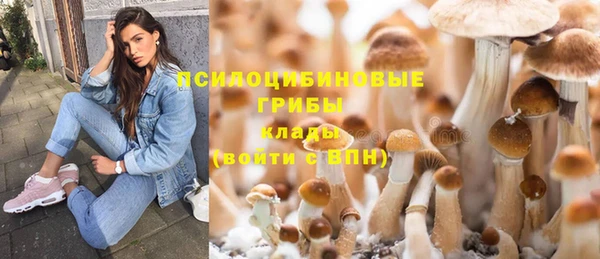 шишки Алексеевка