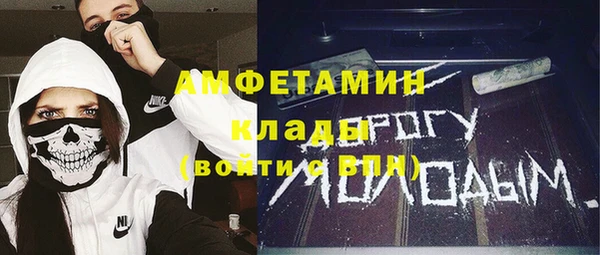 шишки Алексеевка