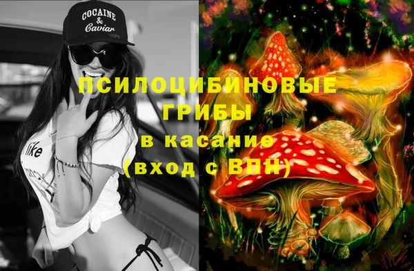 мет Алексин