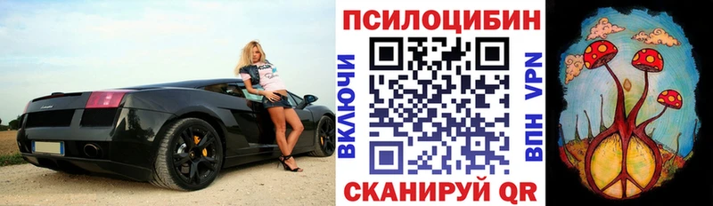 Псилоцибиновые грибы мицелий  Лесосибирск 